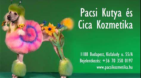 Hűtőruha kutyán nyári sétán