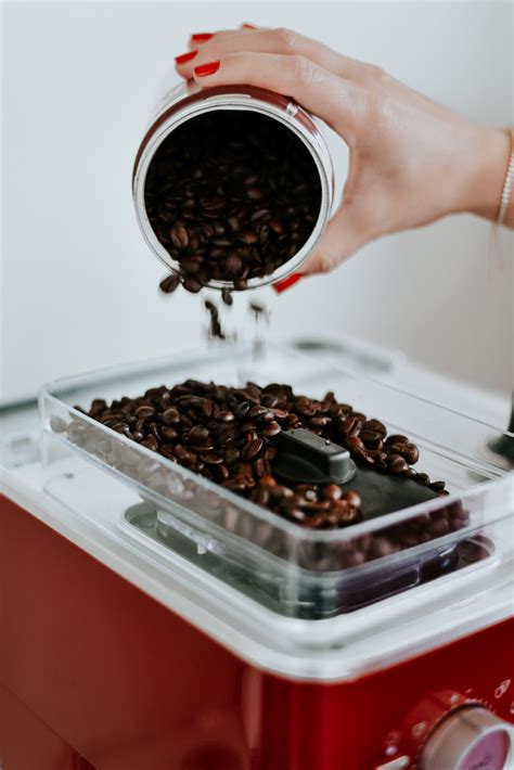 frissen őrölt kávébab otthoni barista