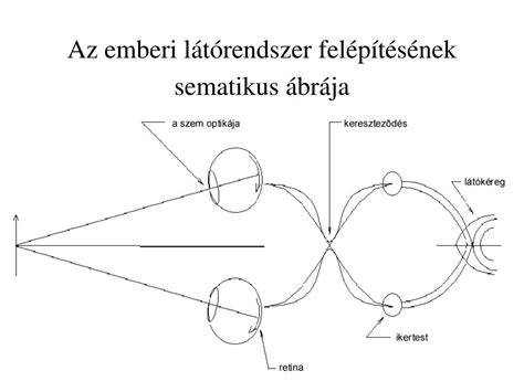 A hűtőszekrény működésének sematikus ábrája